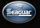 Seaguar ist der Nr.1-Hersteller...