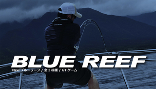 Yamaga BlueReef 711/8 StickBait